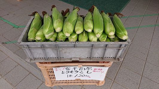 朝どれ！新鮮とうもろこし　1本120円